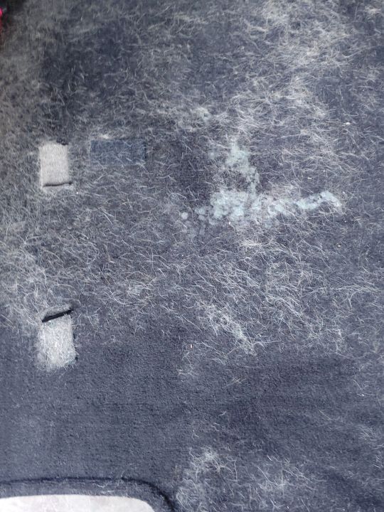 Trunk Mat Before